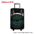 12 Inch Moveable Home Theatre LED Light Speaker